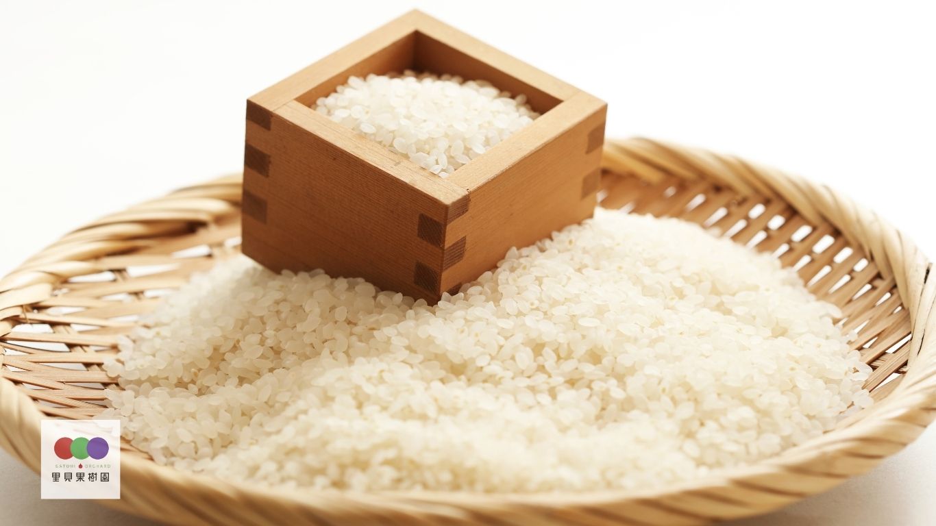 山形県のブランド米 はえぬき30kg | 里見果樹園